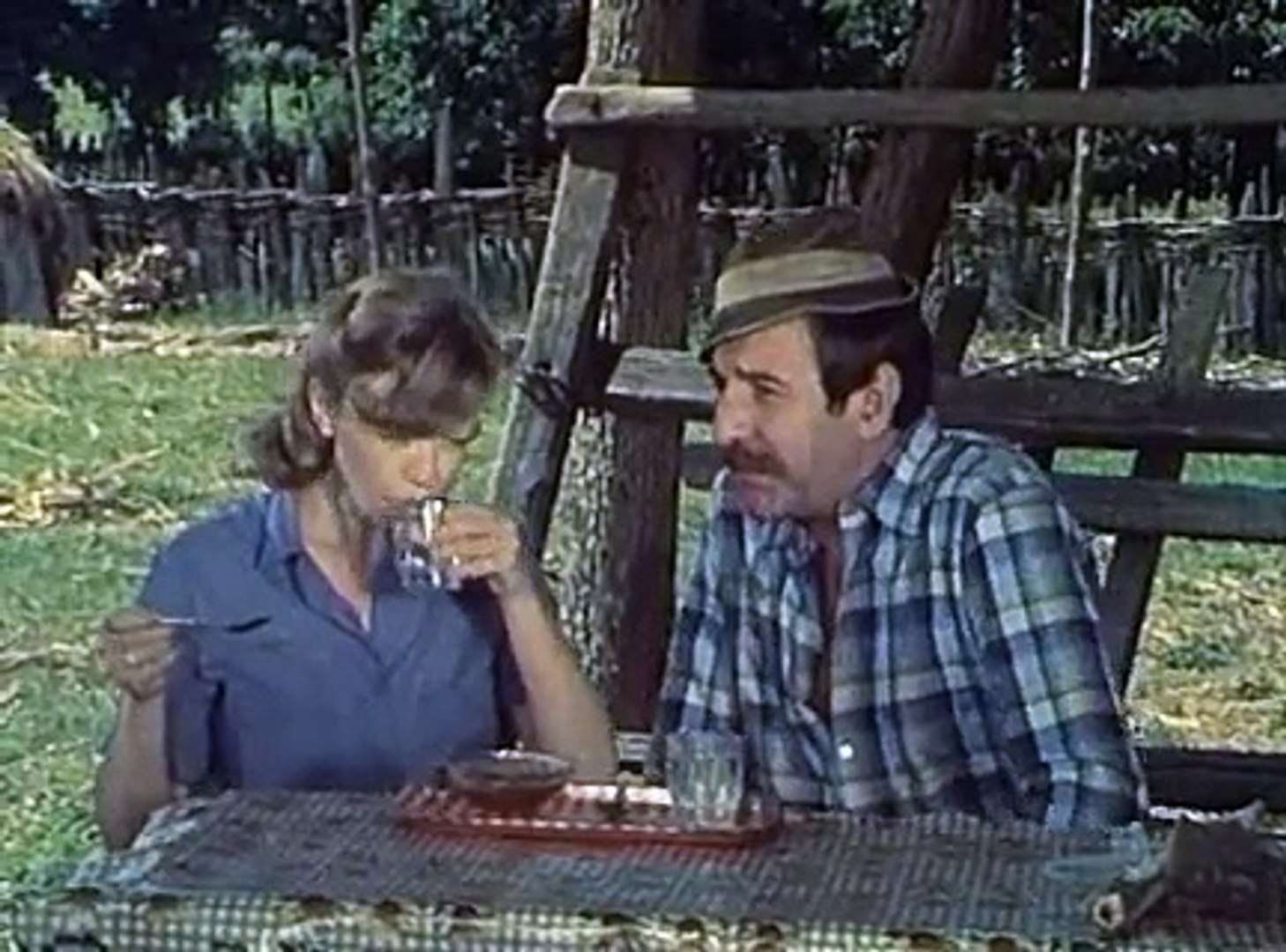 Priče iz Nepričave