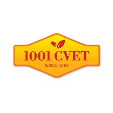 1001 cvet