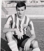 Josip Skoblar