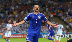 Vedad Ibišević