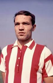 Stevan Ostojić