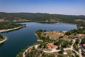 Borsko jezero