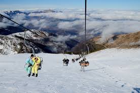Brezovica