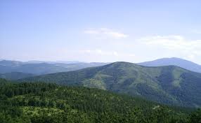 Goč