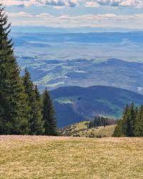 Golija