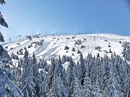 Kopaonik