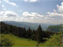 Ranča