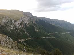 Vlašić