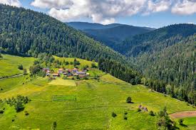 Zlatar