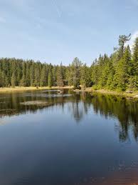 Falško jezero