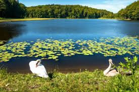 Ivanjsko jezero