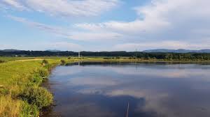Medveško jezero