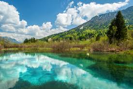 Zelenci jezero