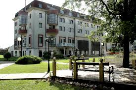 Banja Dvorovi (Bijeljina)