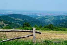 Fruška gora