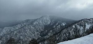 Konjuh
