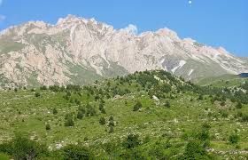 Korab