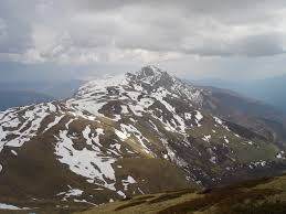 Krčin