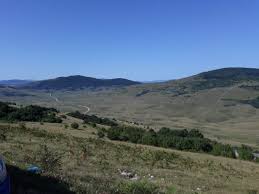 Manjača