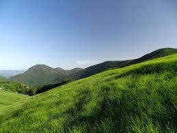Poštak