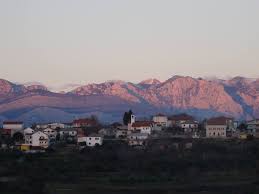 Radovina