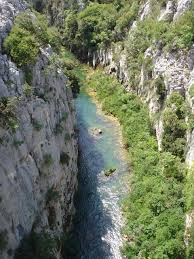 Cetina