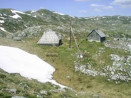 Sinjajevina