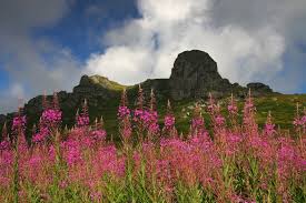 Stara planina
