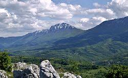 Suva planina