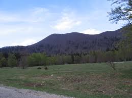 Viševica