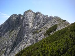 Viševnik