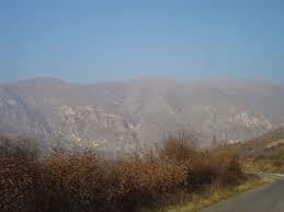 Žeden