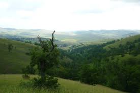 Zlatibor