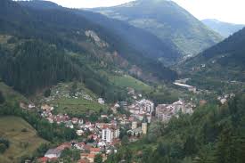 Zvijezda