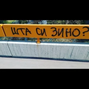 Šta si zino?