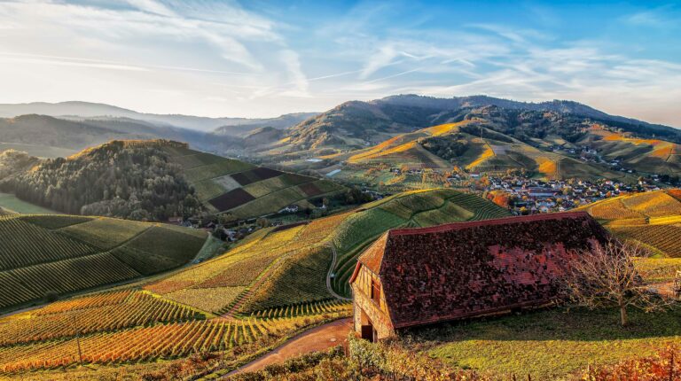 Najbolje vinarije Crne Gore