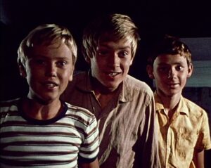 Družina Sinjeg galeba