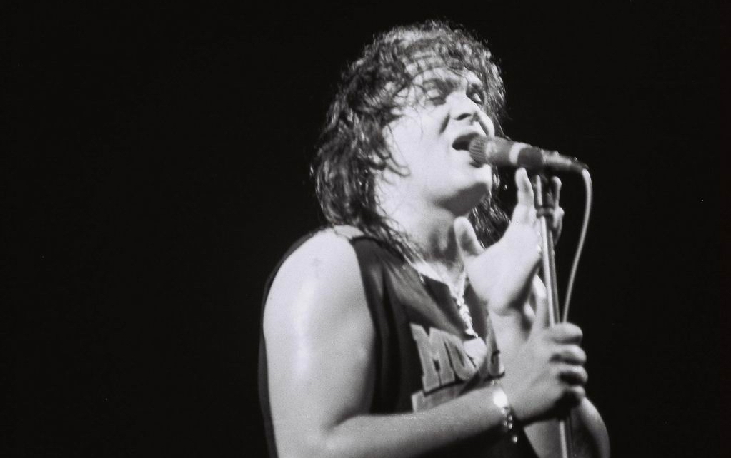 “Pogledaj dom svoj anđele”